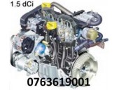 Motor fara anexe - Dacia Logan