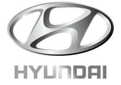 CONTACT CHEIE Hyundai Santa-Fe -2147483648