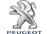 CALCULATOR MOTOR Peugeot 406 benzina 2000