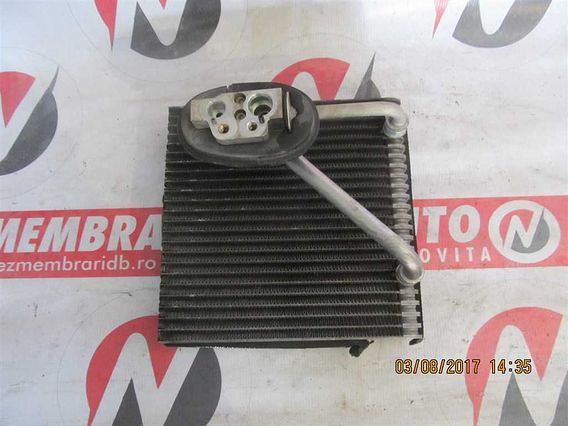 VAPORIZATOR Volkswagen Golf-V diesel 2006 - Poza 1